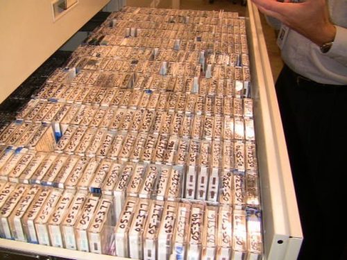 Drawers - Audio Tapes 1