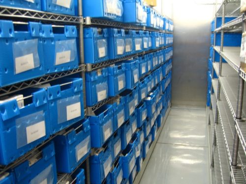 Freezer Plastic Bins