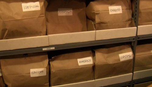 Grocery Bags Medium 1