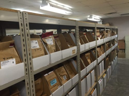 Grocery Bags Medium 2