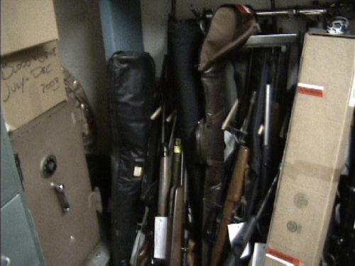 Firearms for Destruction 1